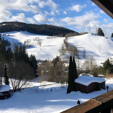 Apartment Fam. Zappe Steinhaus am Semmering Luaran gambar